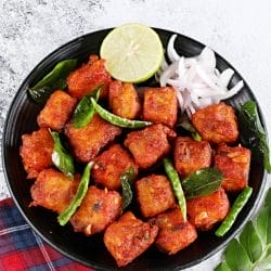 Monagadi Fry Paneer